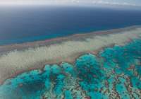 Great Barrier Reef Travel Guide - A Trip of a Lifetime