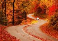 Blue Ridge Parkway : USA Road Trip