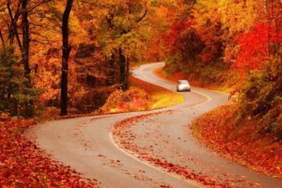 Blue Ridge Parkway : USA Road Trip