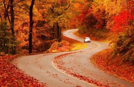 Blue Ridge Parkway : USA Road Trip