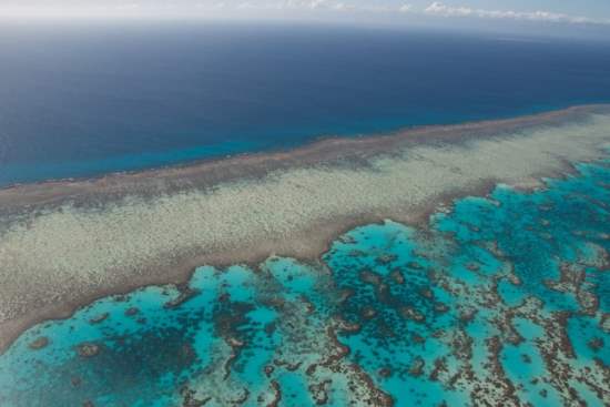 Great Barrier Reef Travel Guide - A Trip of a Lifetime