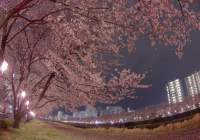 The Most Photogenic Destinations in Asia