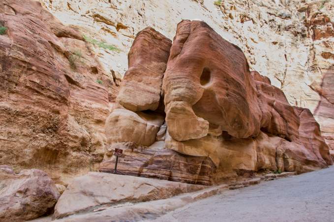 Petra Elephant