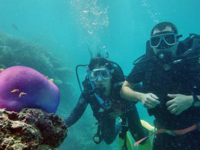Great Barrier Reef Snorkling