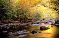 Great Smoky Mountains National Park