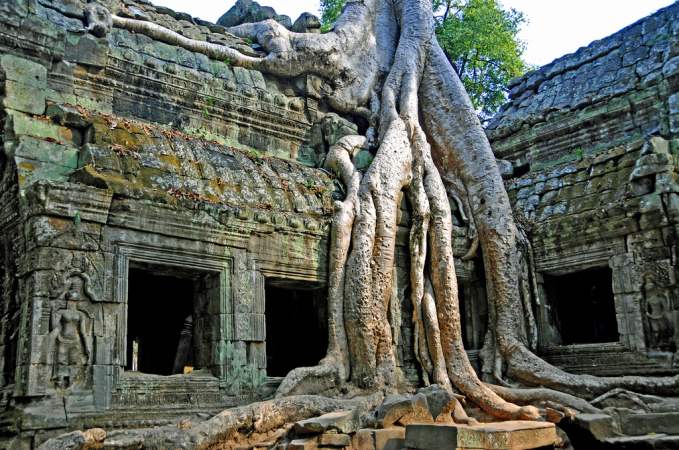 Ta Prohm in Siem Reap, Cambodia