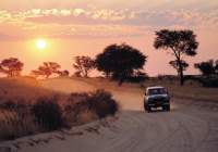 Top 5 African Safari Driving Routes
