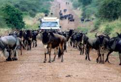 Serengeti National Park